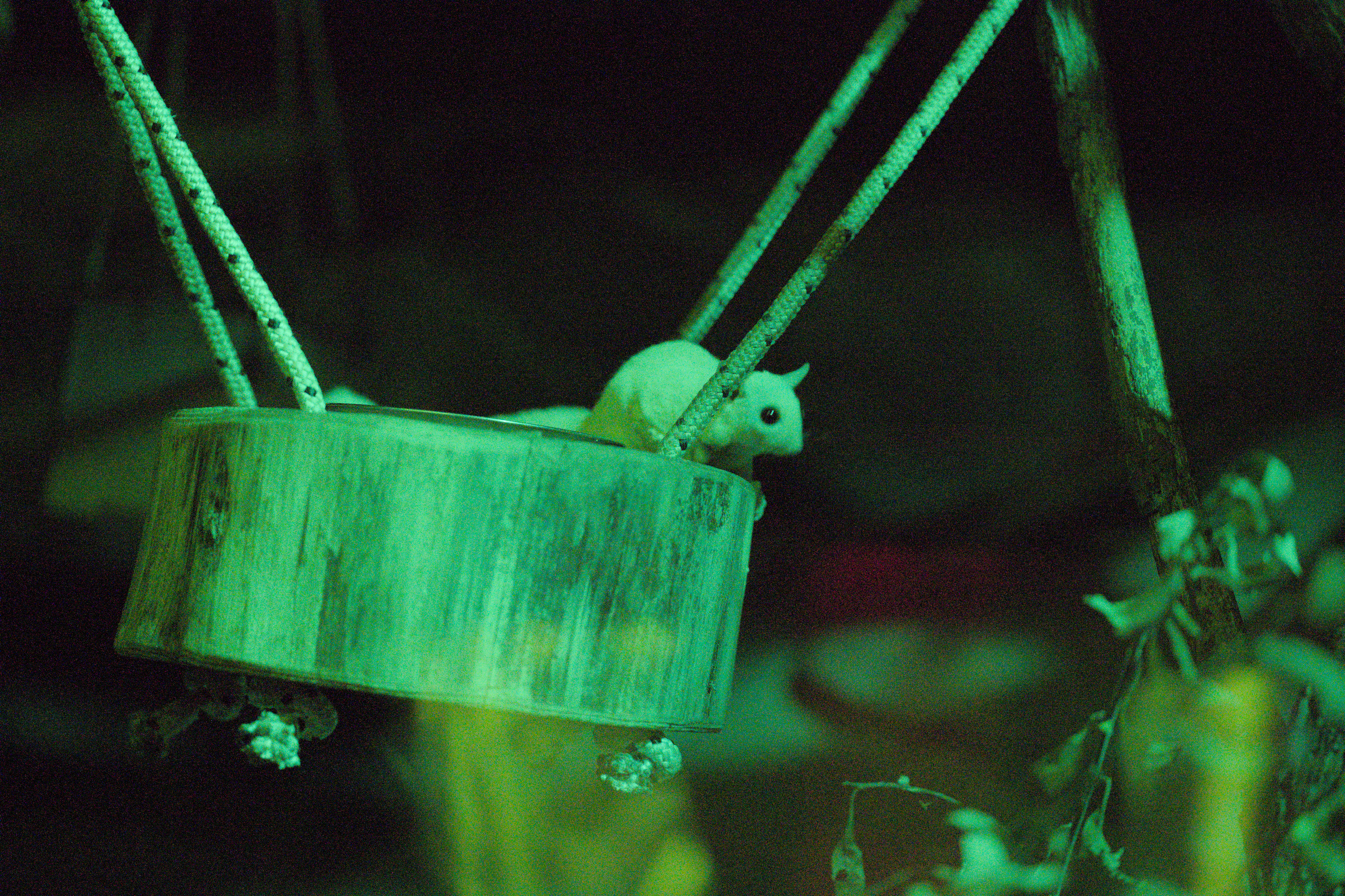 2025/10/12 - zoo/DSC_0264.jpg